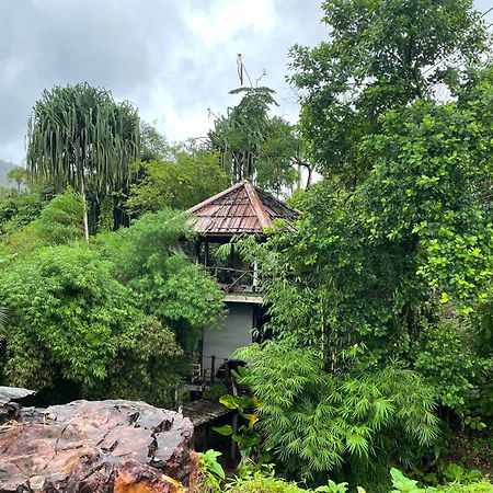 Khao Sok National Park Khaosok Farmstay מראה חיצוני תמונה
