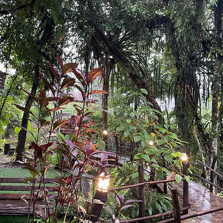 Khao Sok National Park Khaosok Farmstay מראה חיצוני תמונה