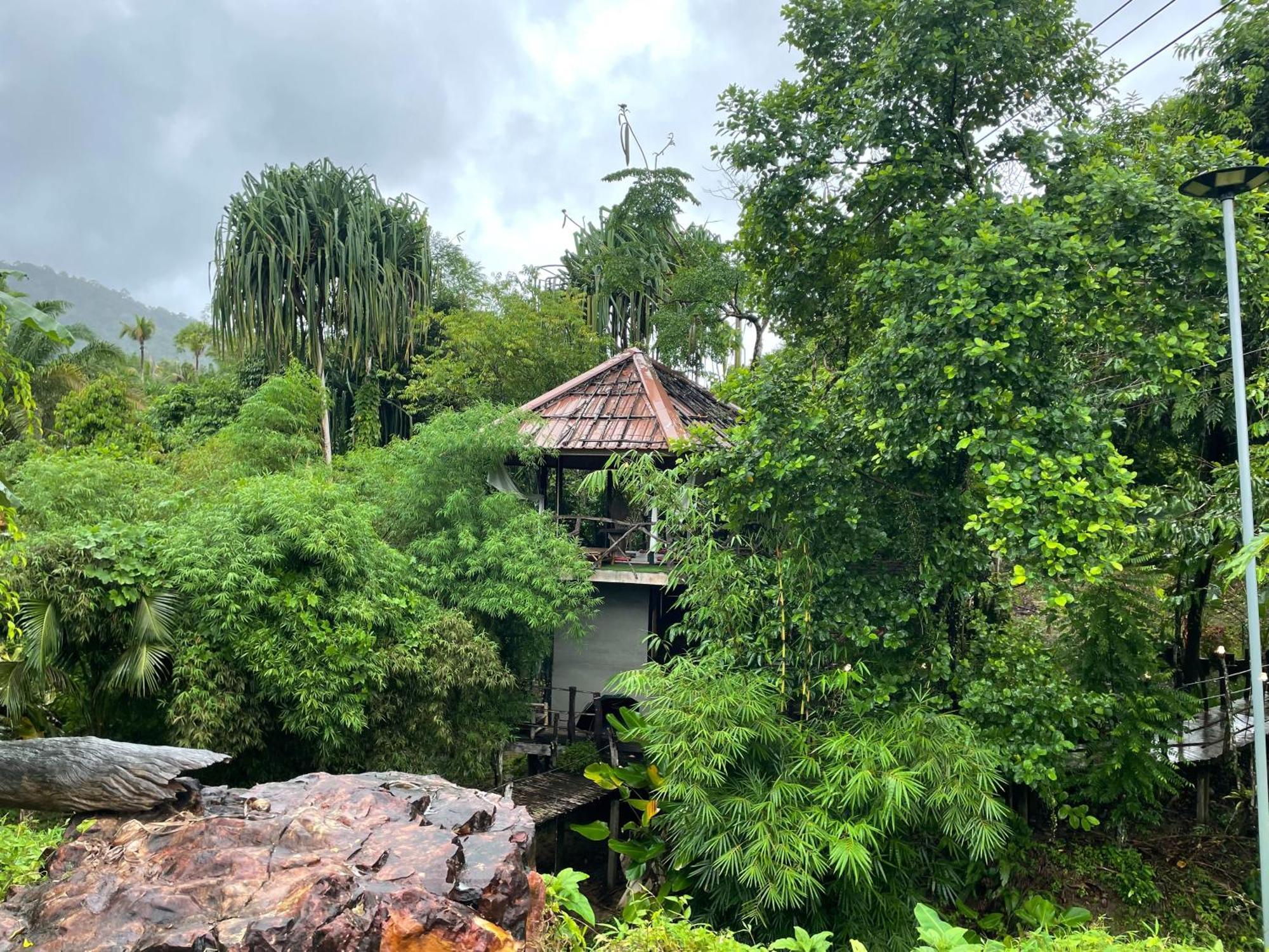 Khao Sok National Park Khaosok Farmstay מראה חיצוני תמונה