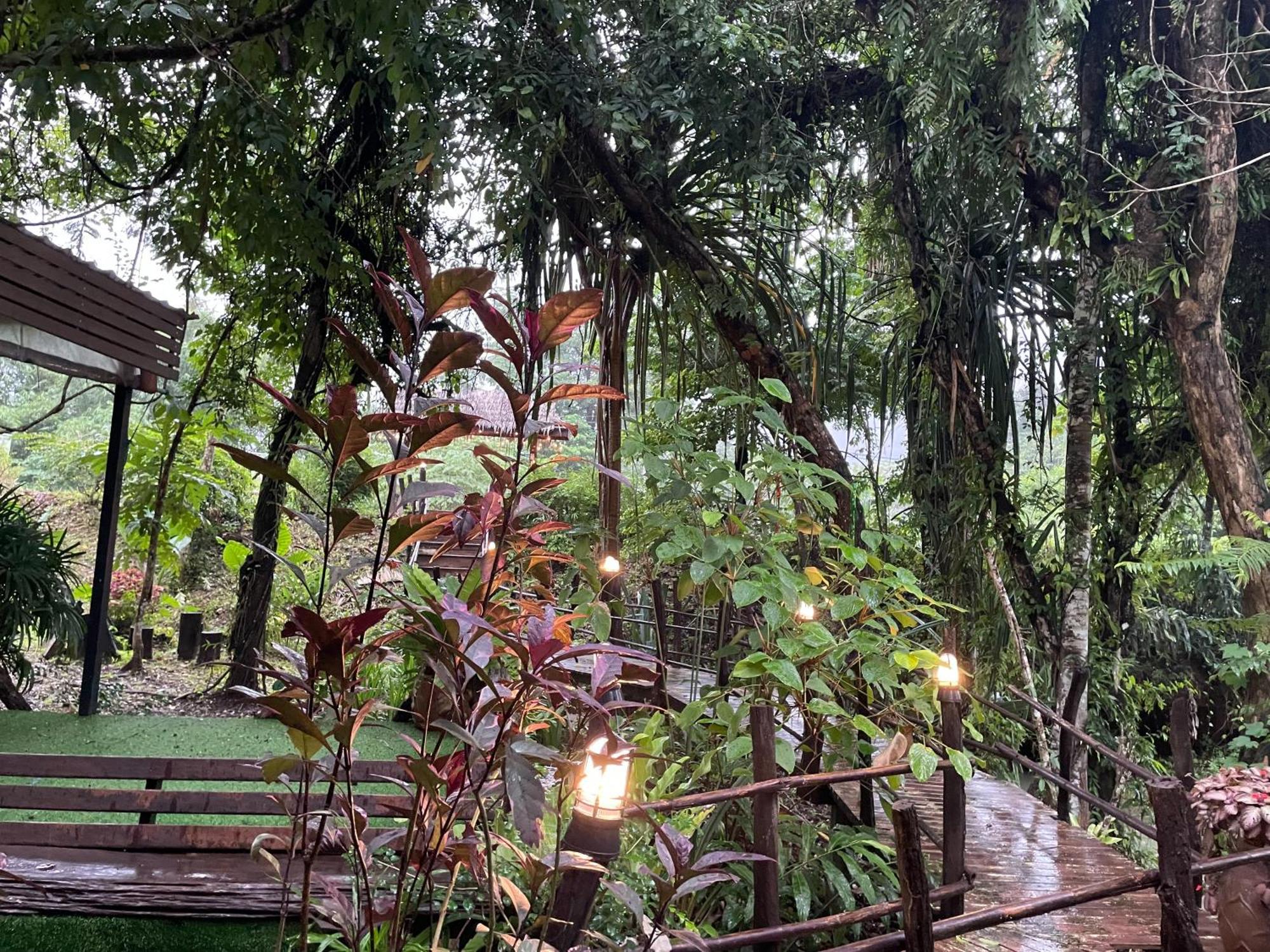 Khao Sok National Park Khaosok Farmstay מראה חיצוני תמונה