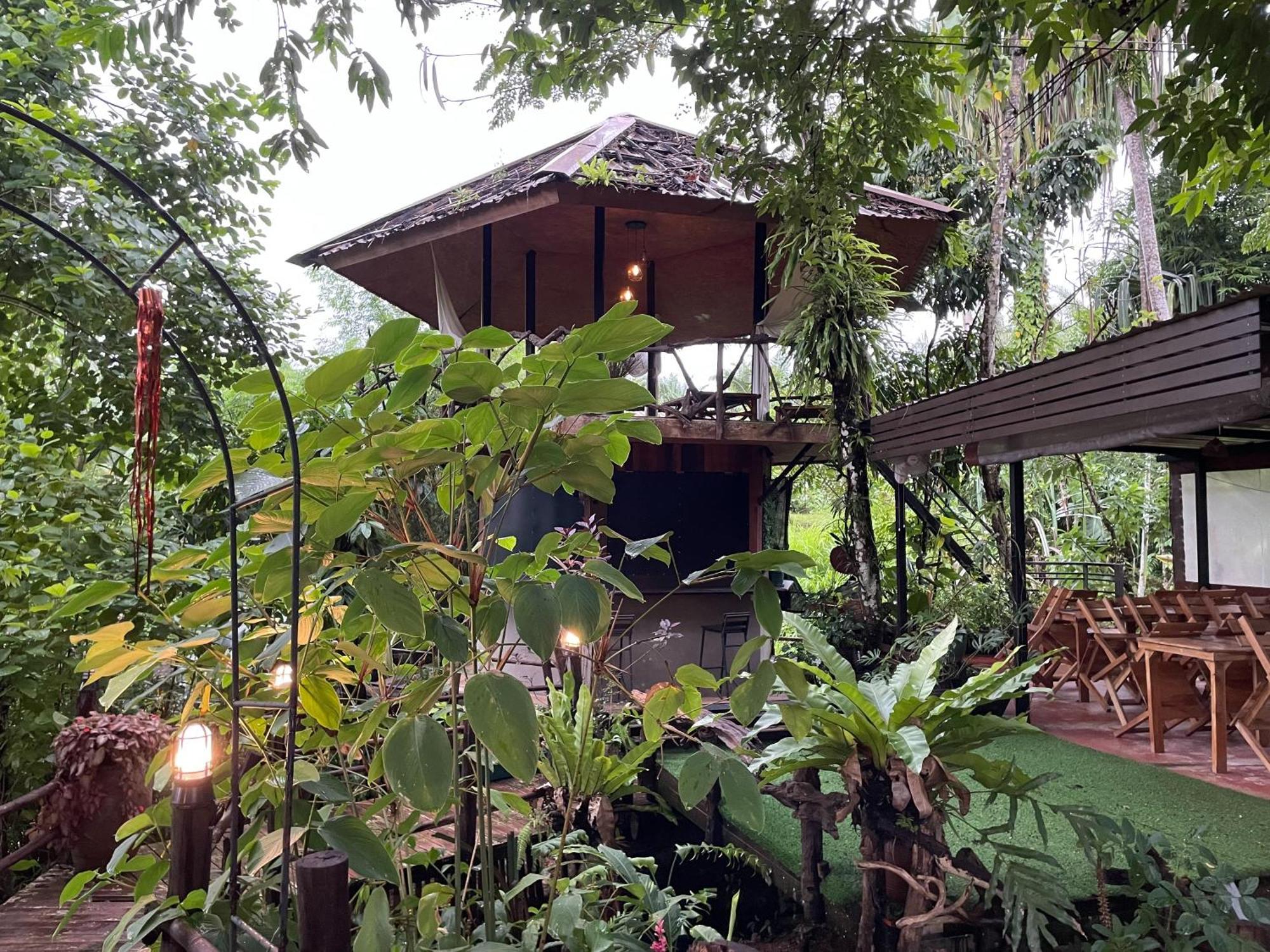Khao Sok National Park Khaosok Farmstay מראה חיצוני תמונה