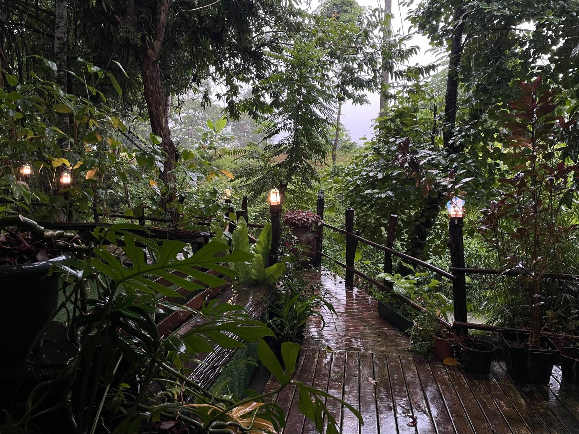 Khao Sok National Park Khaosok Farmstay מראה חיצוני תמונה