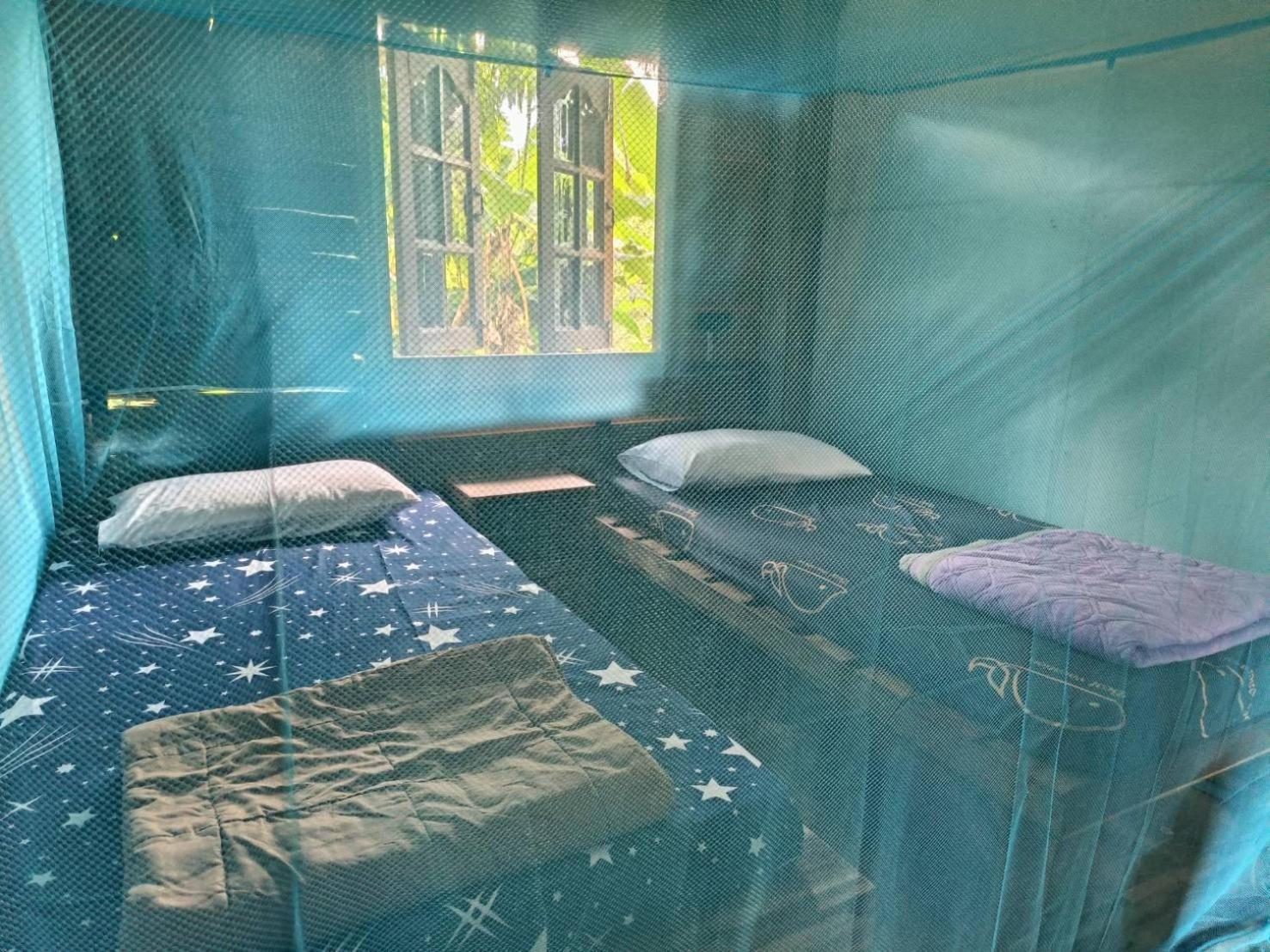 Khao Sok National Park Khaosok Farmstay מראה חיצוני תמונה